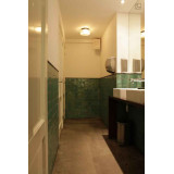 Kiwi Zellige - natural green of the zellige tile