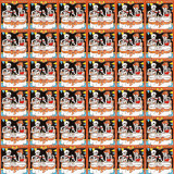 Aniversario - Catrina series - Talavera ceramic mexican tile