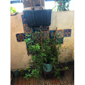 Armando - original Talavera tiles from Mexico - 30 pieces
