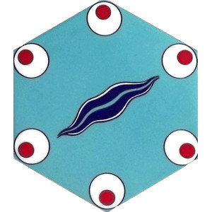 Hexagonal ceramic tiles from Turkey