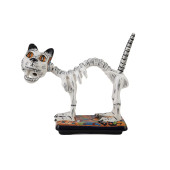Gato y huesos - La Catrina's Mexican cat