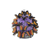 Cráneo con mariposas - skull with butterflies from Mexico