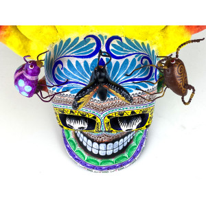 Cráneo flamas con bicho - skull on fire from Mexico