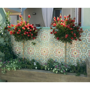 Hass - Moroccan ceramic tiles
