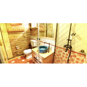Aneta  - turquoise sink