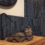 Beatrisa  - Talavera sink