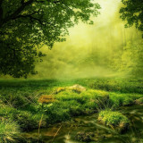 Fish Scale - "Forest Glade" tile set from the "Water" series