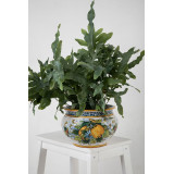 Handmade Sicilian flowerpot - Vaso di limoni S