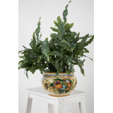 Italian flowerpot - Vaso di melograni S