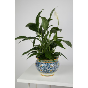 Vaso fiori di limoni M - hand-painted Italian flower pot