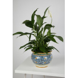 Vaso fiori di limoni M - hand-painted Italian flower pot