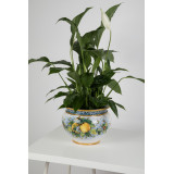Vaso di limoni M - handmade Sicilian flower pot