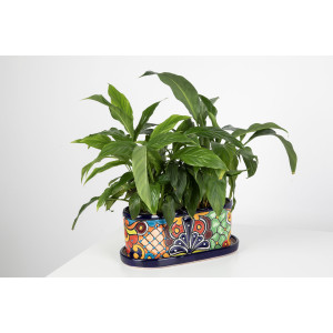 Jardinera de Jardin - ceramic pot from Mexico