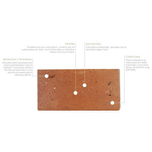 Centenary terracotta floor tiles