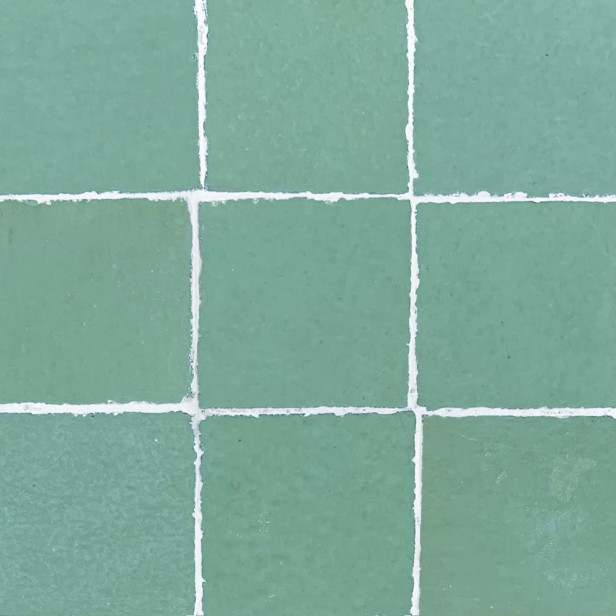 Gooseberry Zellige - green zellige tiles