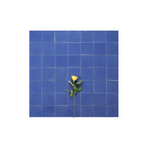 Hernández  - Solid Color Tiles