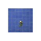 Hernández  - Solid Color Tiles