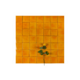 Mostaza Deslavado Orange – Monocolor Talavera Tiles