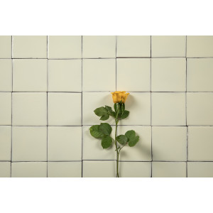 Blanco Mexicano Ecru – Tiles from Mexico