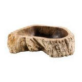 Petrified wood